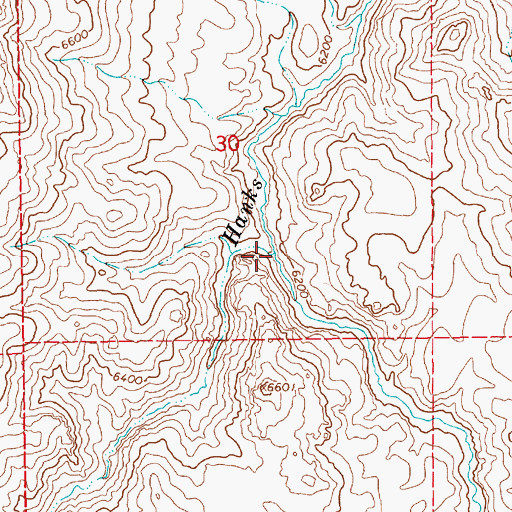 Topographic Map of South Fork Hanks Creek, NV