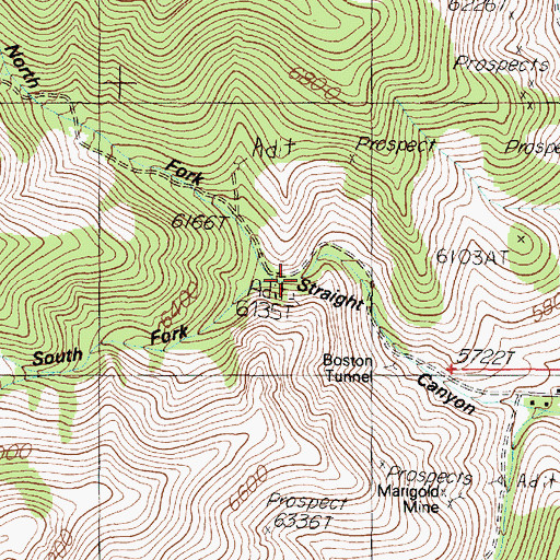 Topographic Map of South Fork Straight Canyon, NV