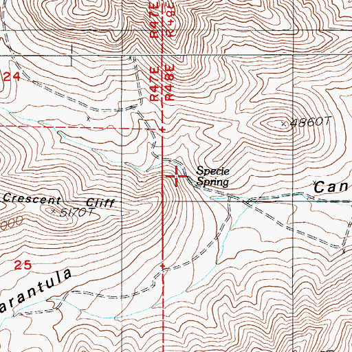 Topographic Map of Specie Spring, NV