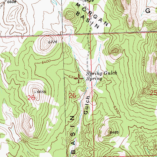 Topographic Map of Spring Gulch Spring, NV