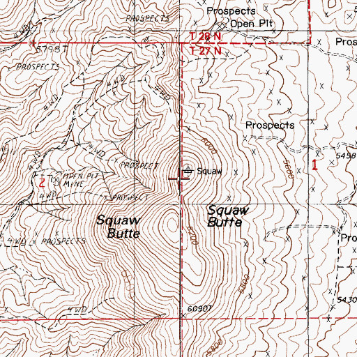 Topographic Map of Squaw Butte, NV