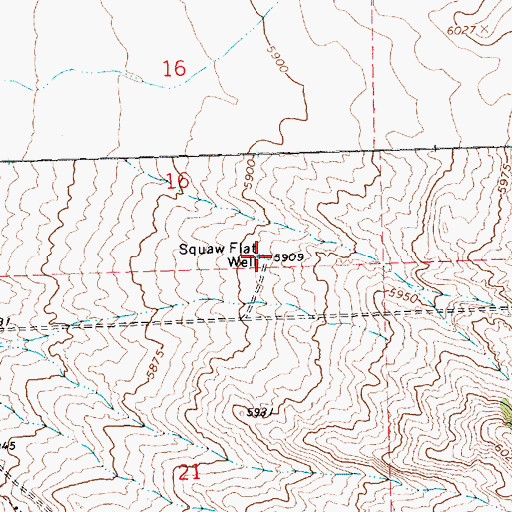Topographic Map of Squaw Flat Well, NV