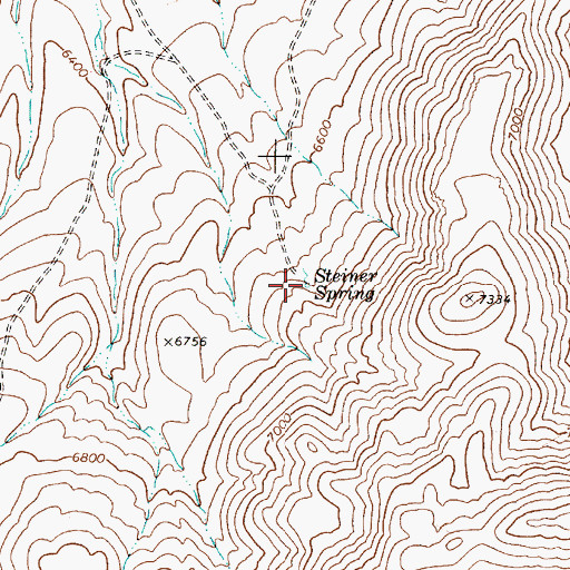 Topographic Map of Steiner Spring, NV