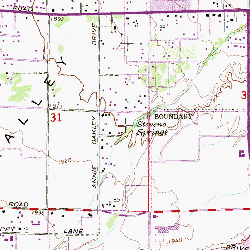 Topographic Map of Stevens Springs, NV