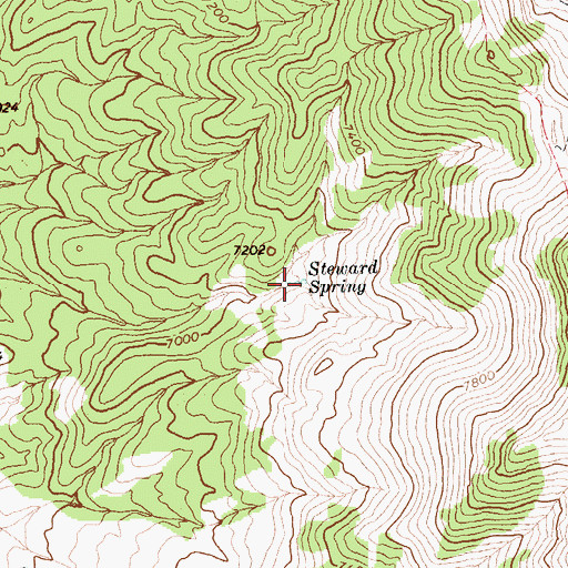 Topographic Map of Steward Spring, NV