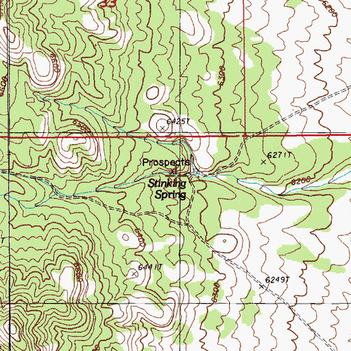 Topographic Map of Stinking Spring, NV
