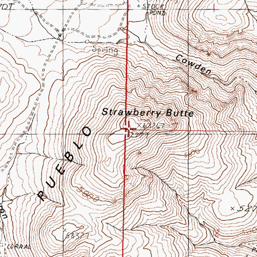 Topographic Map of Strawberry Butte, NV