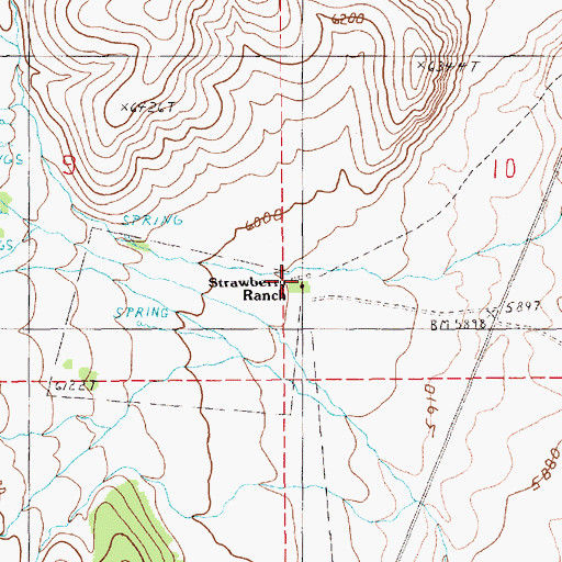 Topographic Map of Strawberry Ranch, NV