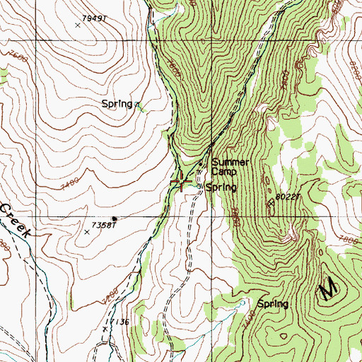 Topographic Map of Summer Camp, NV