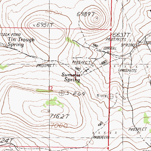 Topographic Map of Summit Spring, NV