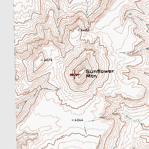 Topographic Map of Sunflower Mountain, NV
