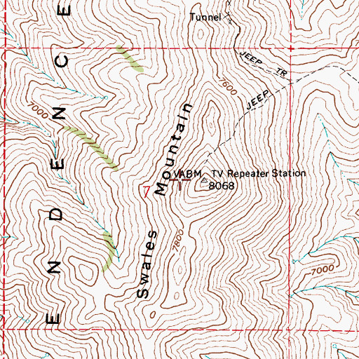 Topographic Map of Swales Mountain, NV
