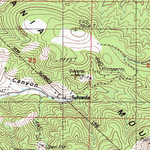 Topographic Map of Sylvania Mine, NV