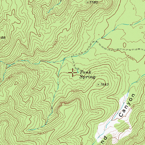 Topographic Map of Tank Spring, NV