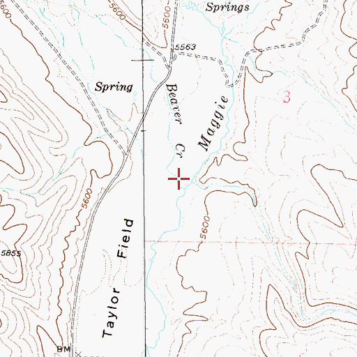 Topographic Map of Taylor Creek, NV