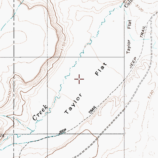 Topographic Map of Taylor Flat, NV