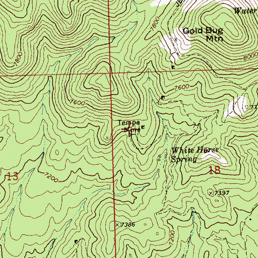 Topographic Map of Tempa Mine, NV