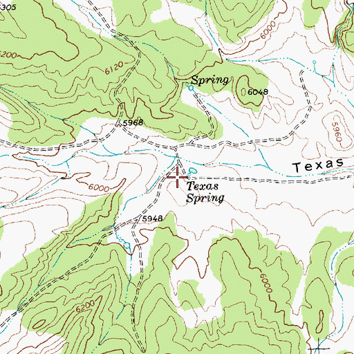 Topographic Map of Texas Spring, NV