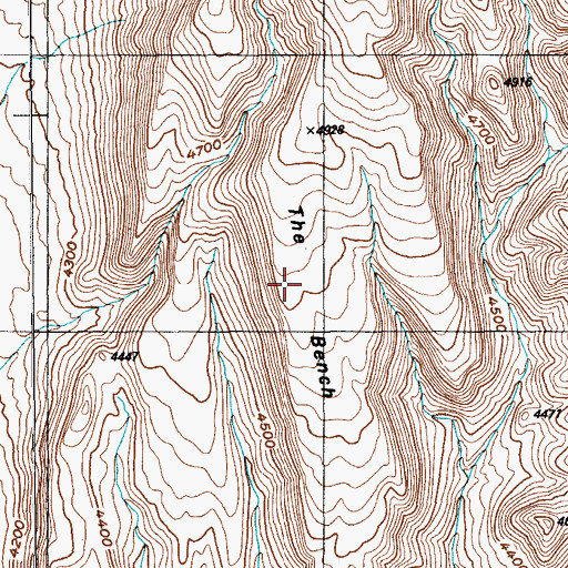 Topographic Map of The Bench, NV