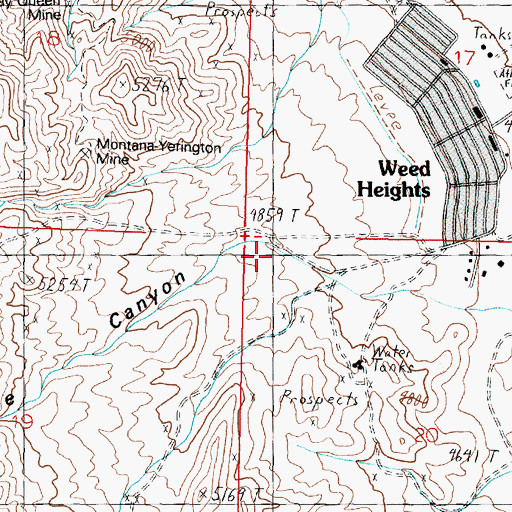 Topographic Map of The Canyon, NV