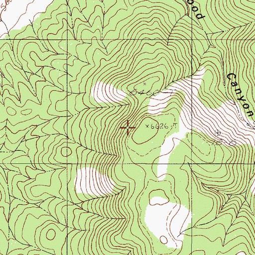 Topographic Map of The Cedars, NV