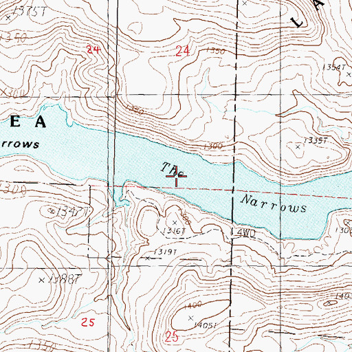Topographic Map of The Narrows, NV