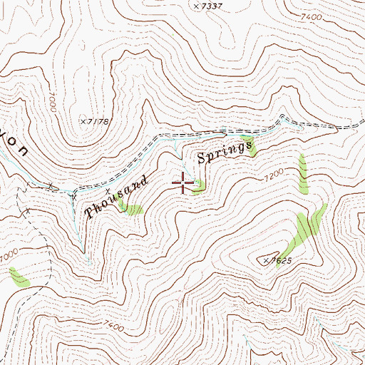 Topographic Map of Thousand Springs, NV