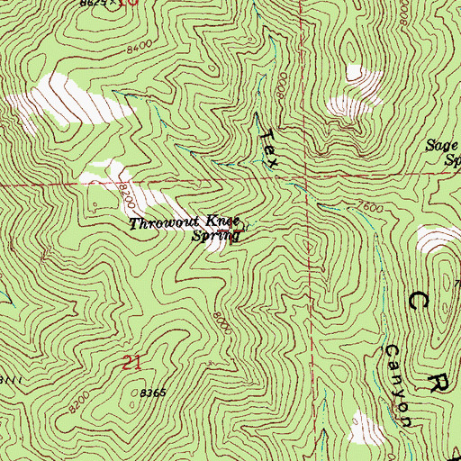 Topographic Map of Throwout Knee Spring, NV