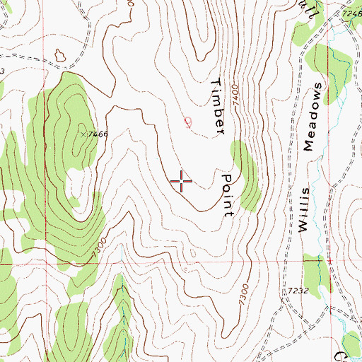 Topographic Map of Timber Point, NV