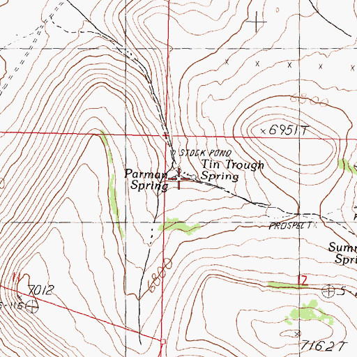 Topographic Map of Tin Trough Spring, NV