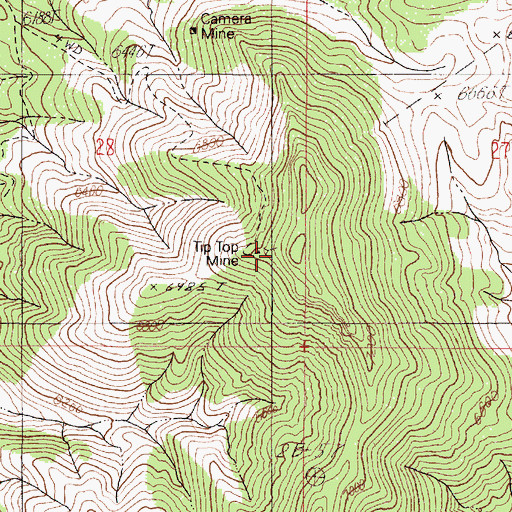 Topographic Map of Tip Top Mine, NV