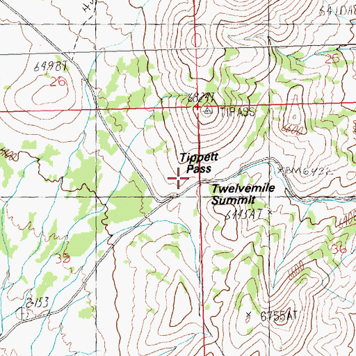 Topographic Map of Tippett Pass, NV
