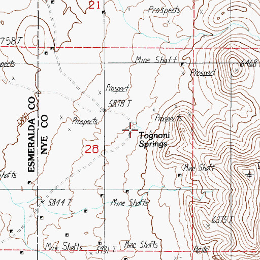 Topographic Map of Tognoni Springs, NV
