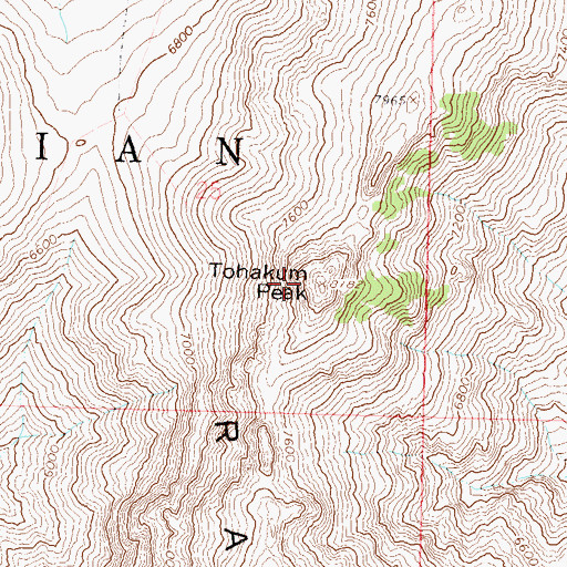 Topographic Map of Tohakum Peak, NV