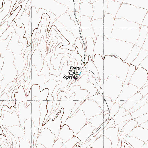 Topographic Map of Tom Spring, NV