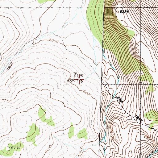 Topographic Map of Tom Spring, NV