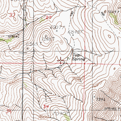 Topographic Map of Top Spring, NV