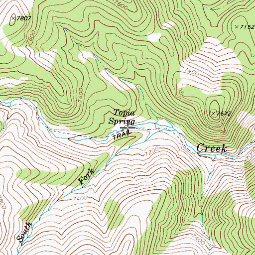 Topographic Map of Topia Spring, NV