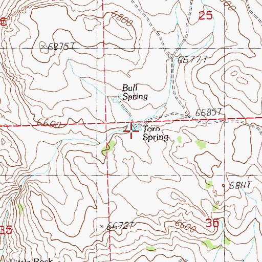 Topographic Map of Toro Spring, NV
