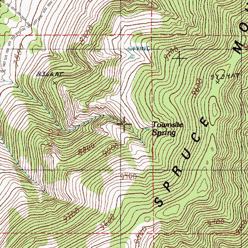 Topographic Map of Townsite Spring, NV