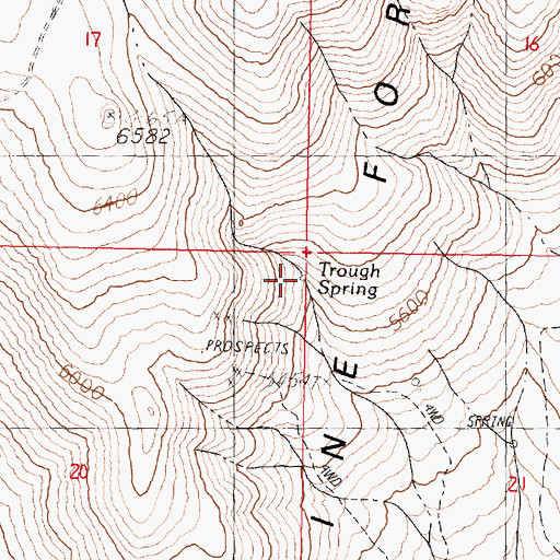 Topographic Map of Trough Spring, NV