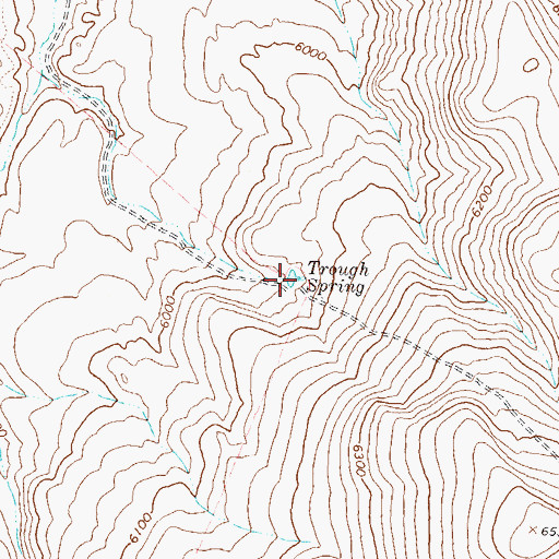 Topographic Map of Trough Spring, NV