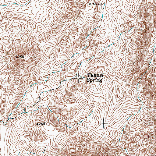 Topographic Map of Tunnel Spring, NV