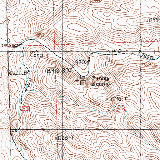 Topographic Map of Turkey Spring, NV