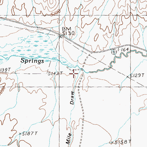 Topographic Map of Twentyone Mile Draw, NV