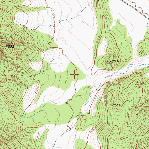 Topographic Map of Twin Pion Gulch, NV