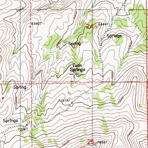 Topographic Map of Twin Springs, NV
