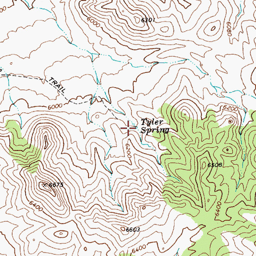 Topographic Map of Tyler Spring, NV