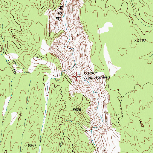 Topographic Map of Upper Ash Spring, NV