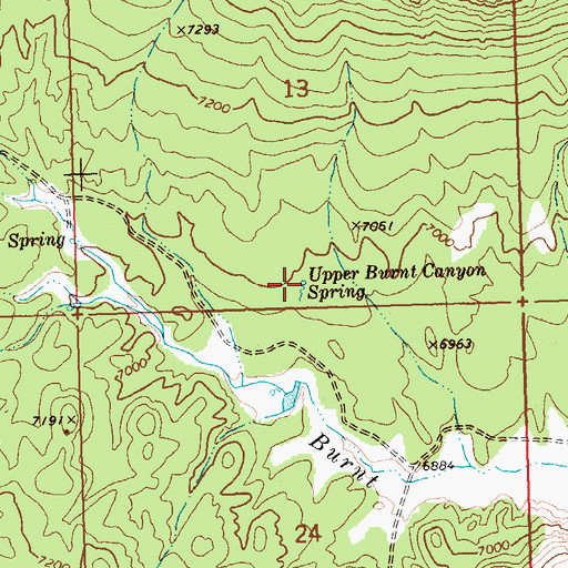 Topographic Map of Upper Burnt Canyon Spring, NV